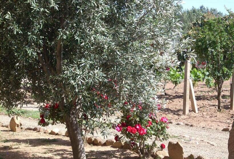 B&b Il Vigneto