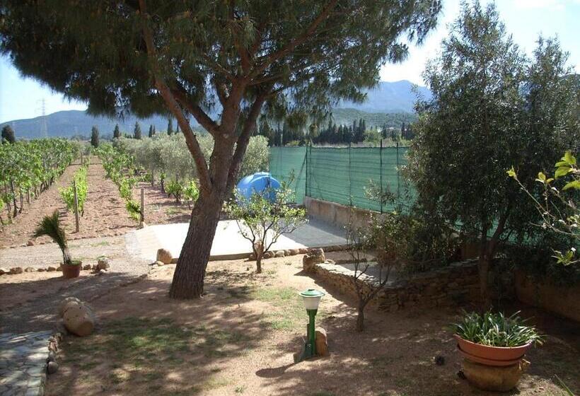 B&b Il Vigneto