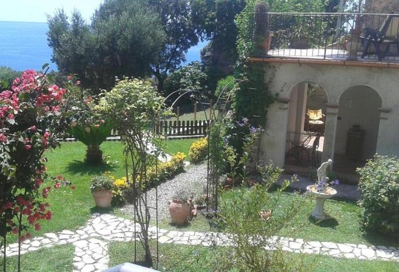 Bed And Breakfast Nefer