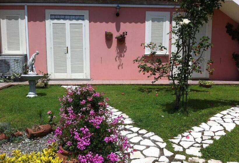 Bed And Breakfast Nefer