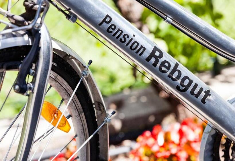 مبيت وإفطار Pension Rebgut