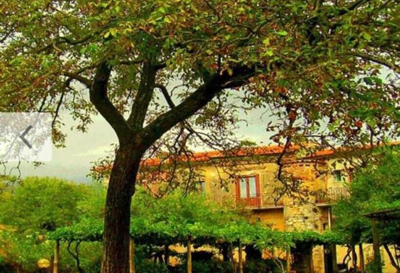 ベッドアンドブレックファースト Pietrantica