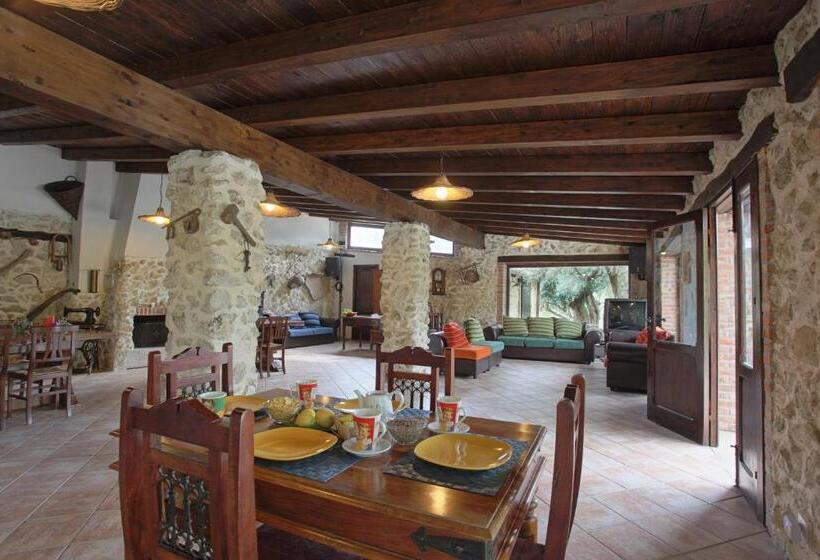 تختخواب و صبحانه Roba Degli Ulivi