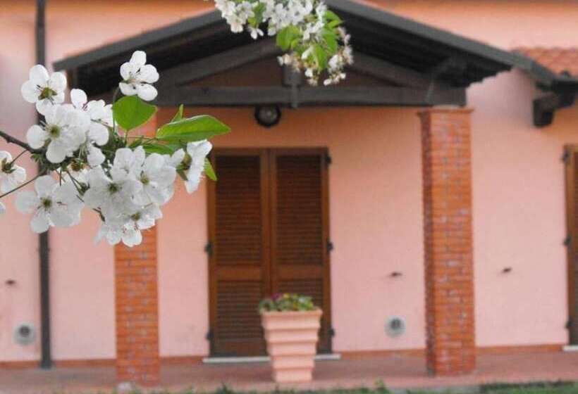 住宿加早餐  Villa Etruria Guest House