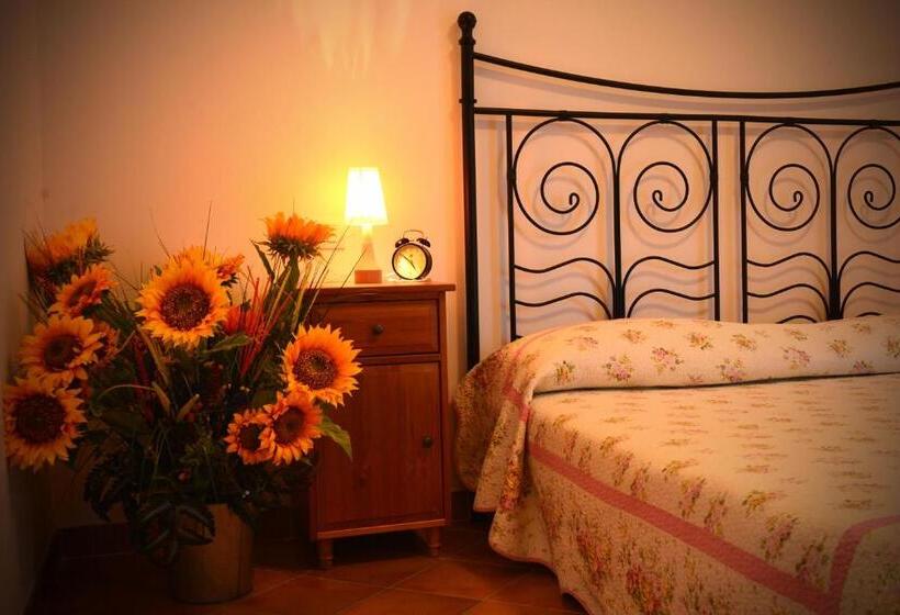 住宿加早餐  Villa Etruria Guest House