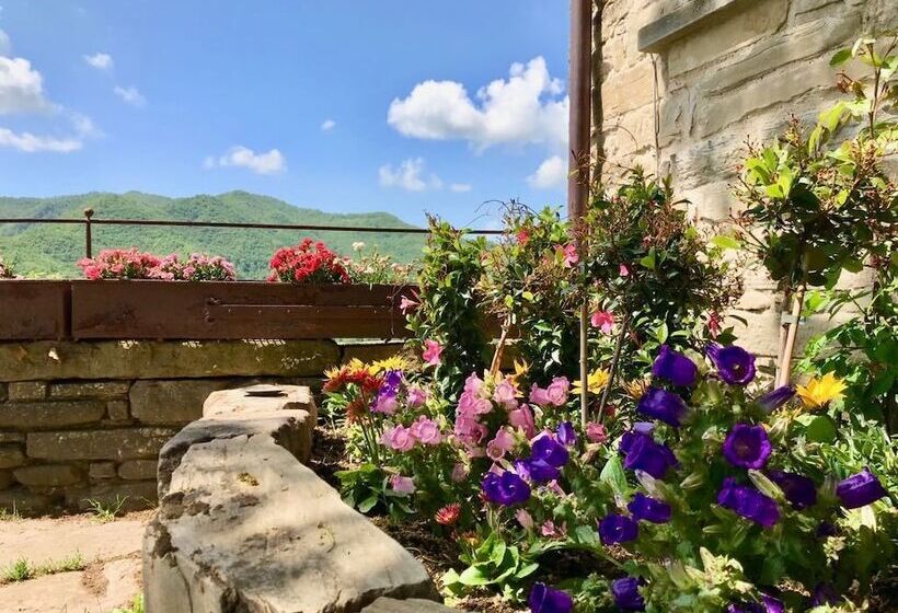 فندق Agriturismo Biologico Castello Della Pieve