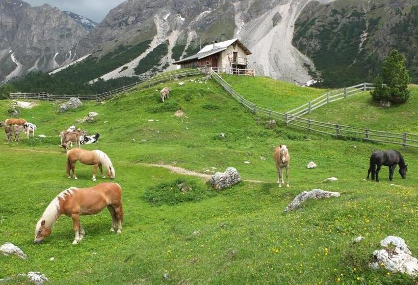 هتل Garni Le Chalet