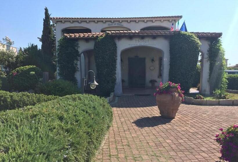 فندق Terra Di Gallura