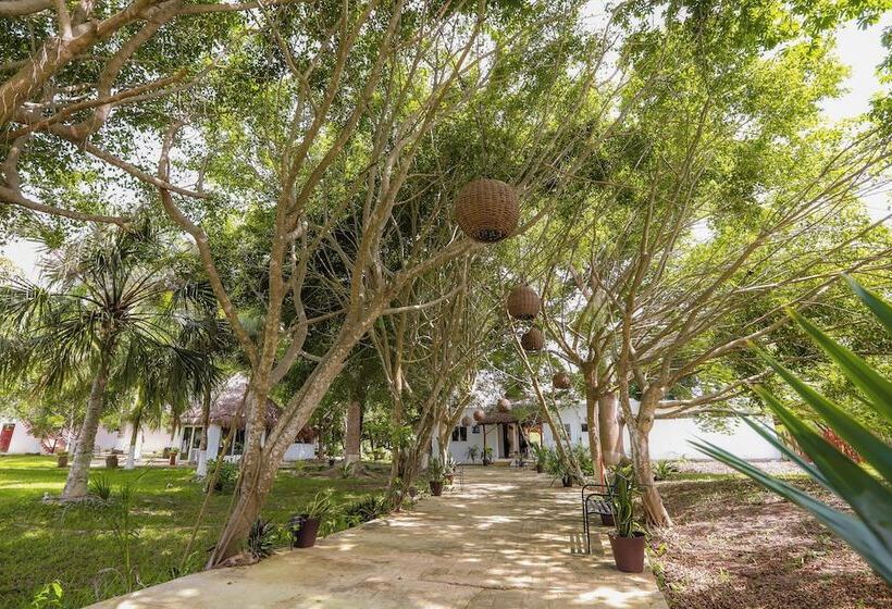 Mayan Secret Hotel Boutique