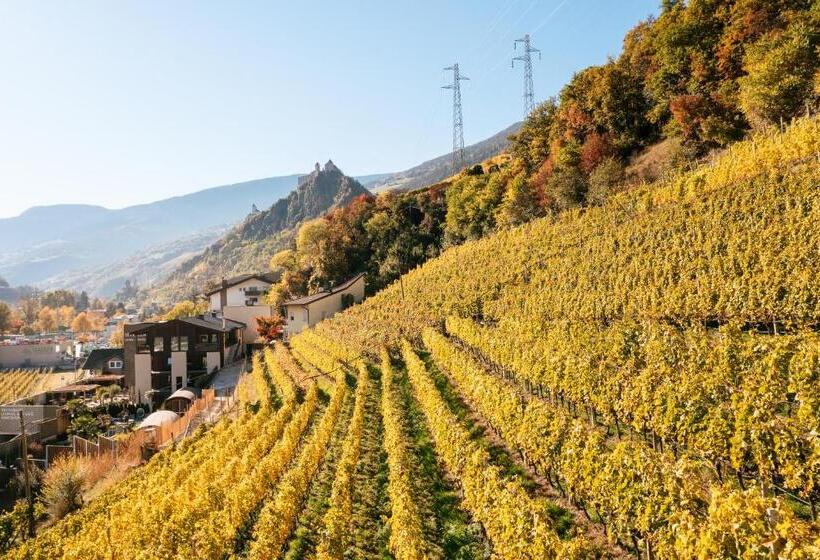 Weingut & Genusshotel Spitalerhof Superior
