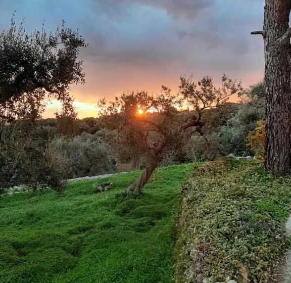 تختخواب و صبحانه Alla Panoramica