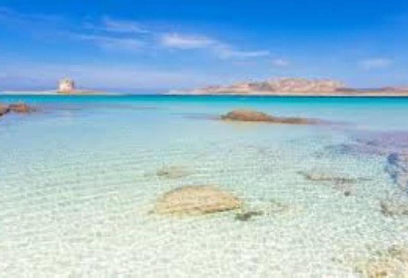 تختخواب و صبحانه Roccabianca Rooms & Studios
