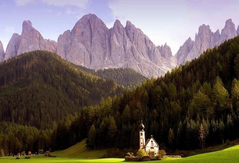 Отель Ansitz Steinbock