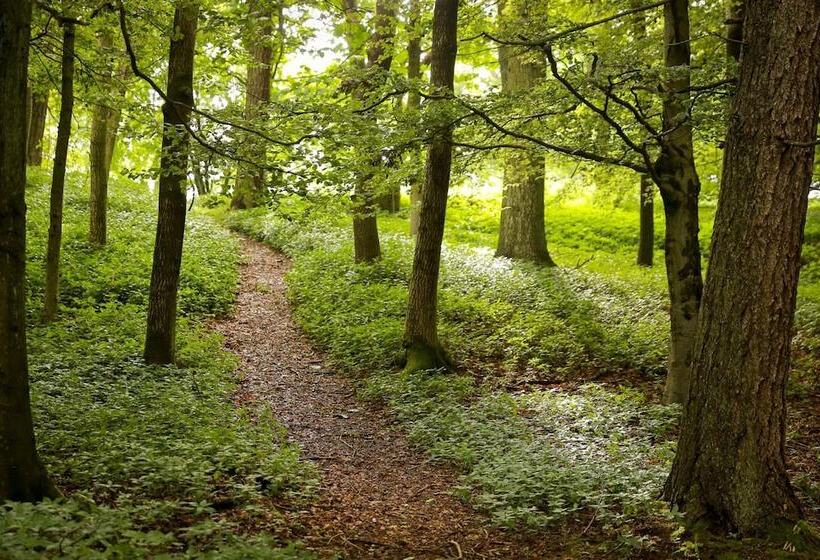 Perth Youth Hostel And Apartments