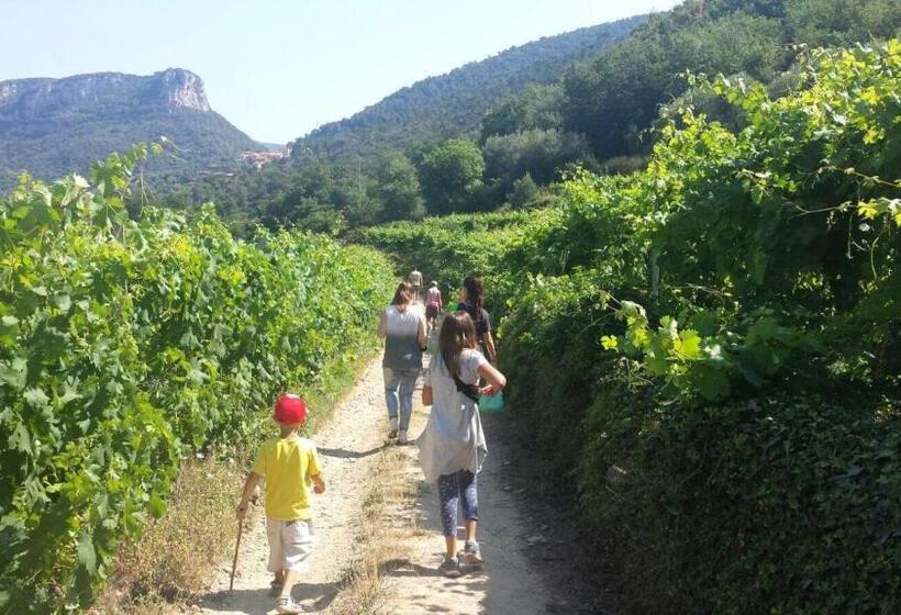 اقامتگاه Il Villaggio Di Giuele