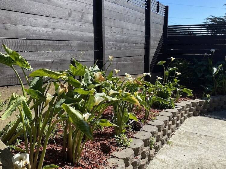 ベッドアンドブレックファースト Ocean View Inn