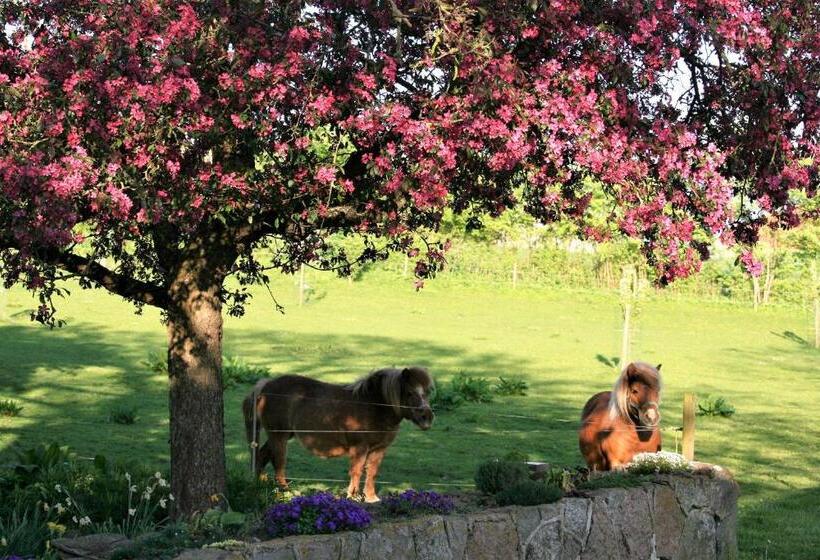 مبيت وإفطار Rødkærgård Bed&breakfast