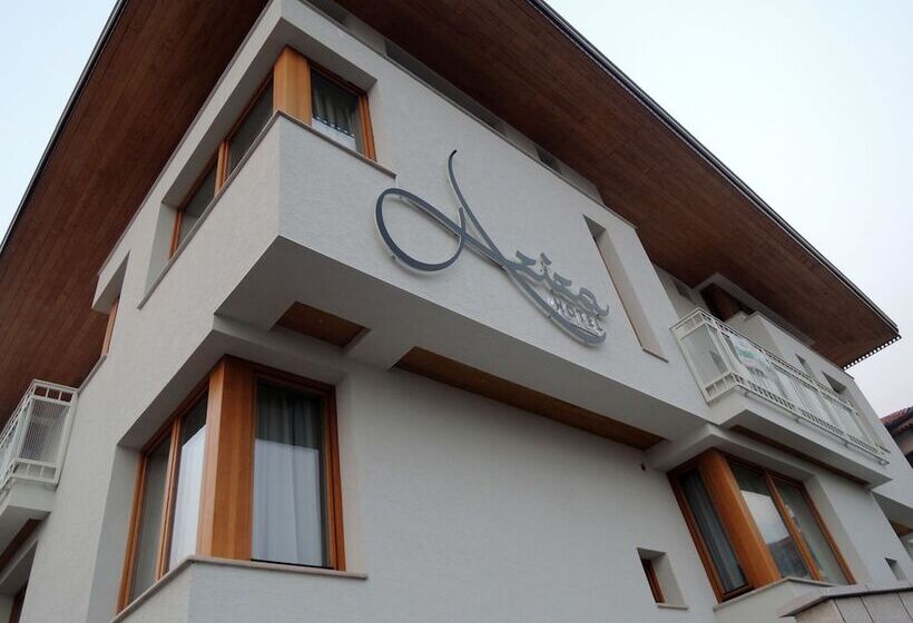 Fotos del hotel Aziza:  24