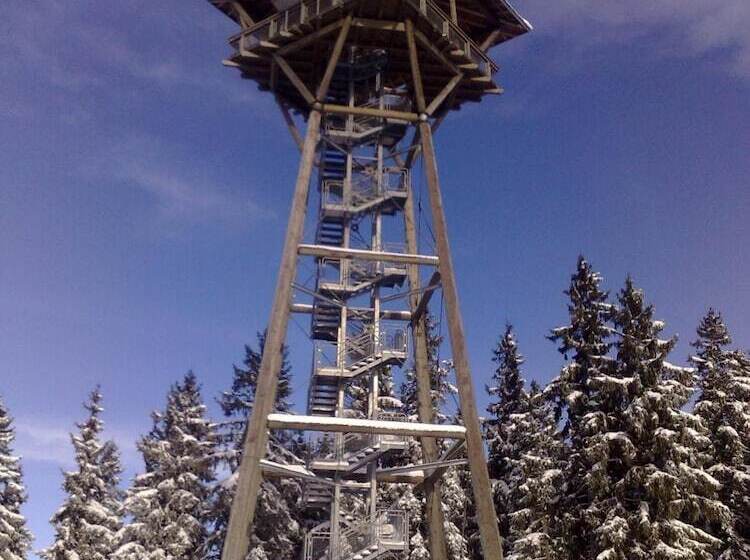 호텔 Hochschwarzwald Hof