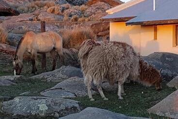 La Posta Hotel Y Refugio De Montana