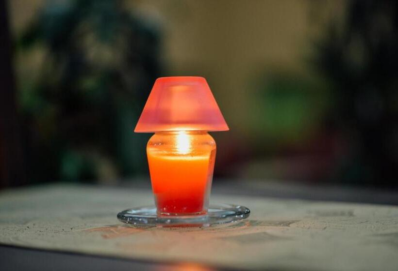 Fotos del hotel Mod:  32