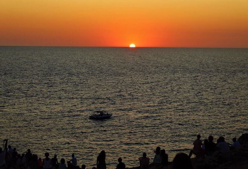 Fotos del hotel Nou Sant Antoni:  3