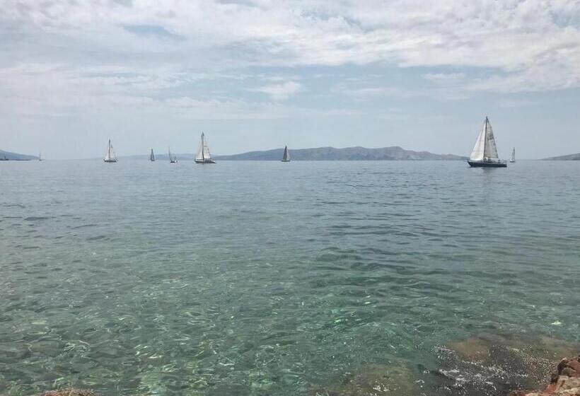 בית מלון כפרי Art