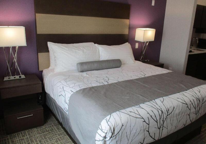هتل Best Western Plus Buda Austin Inn & Suites