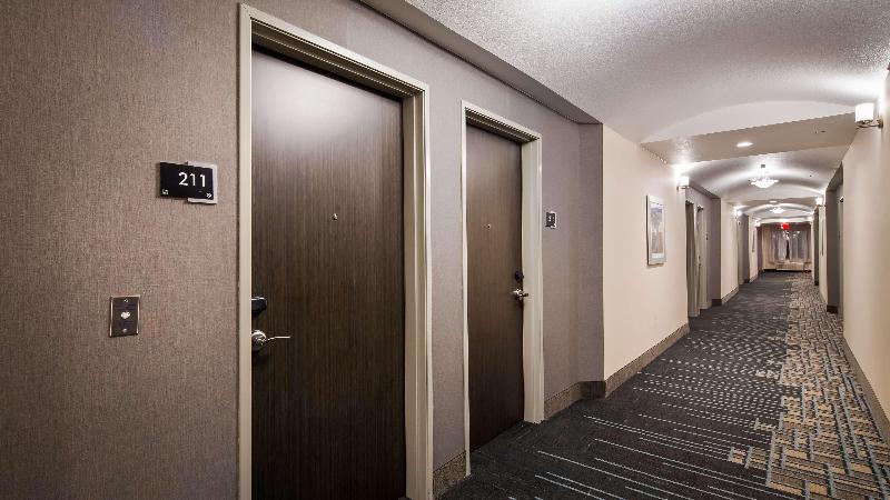 هتل Best Western Plus Buda Austin Inn & Suites