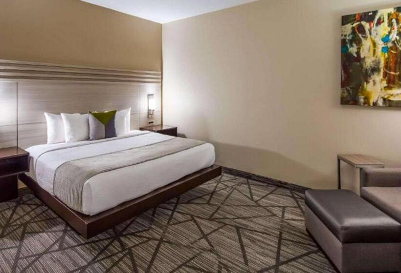 Fotos del hotel Best Western Plus Houston I45 North Inn & Suites:  3
