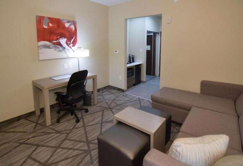Fotos del hotel Best Western Plus Houston I45 North Inn & Suites:  37