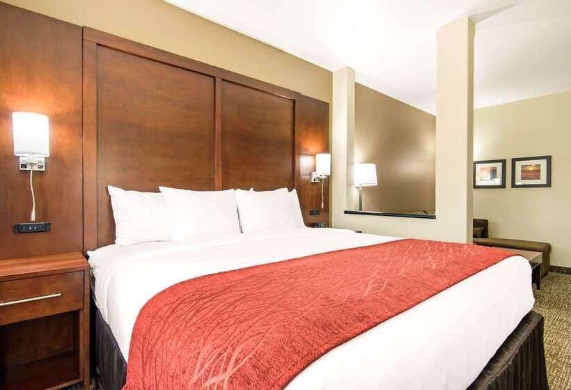 هتل Comfort Inn & Suites Independence