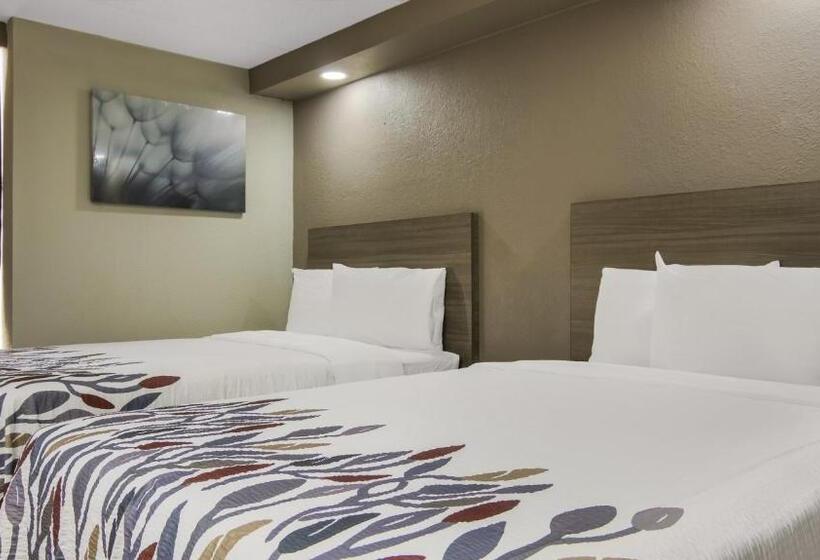 ホテル Red Roof Inn And Conference Center Chicago   N Aurora Naperville