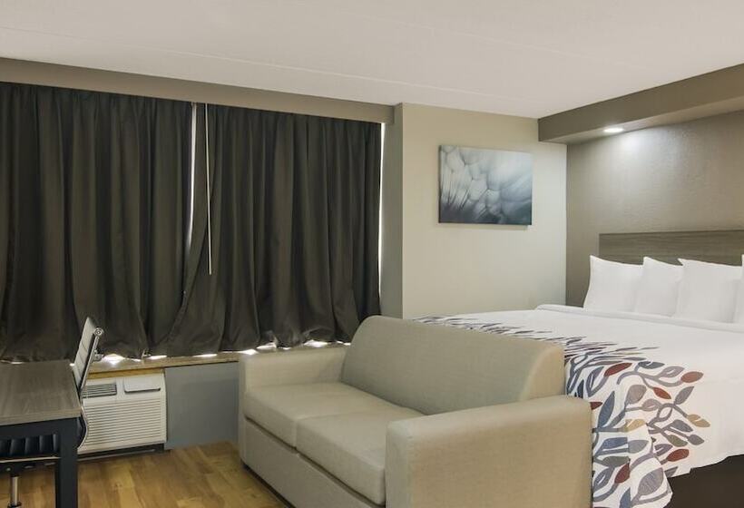ホテル Red Roof Inn And Conference Center Chicago   N Aurora Naperville