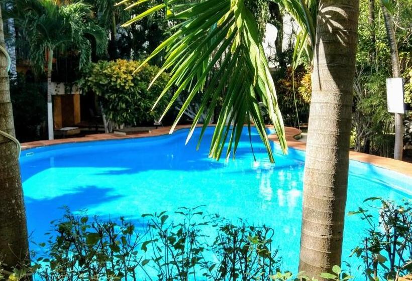 هتل Maya Vacanze Playa Alegria