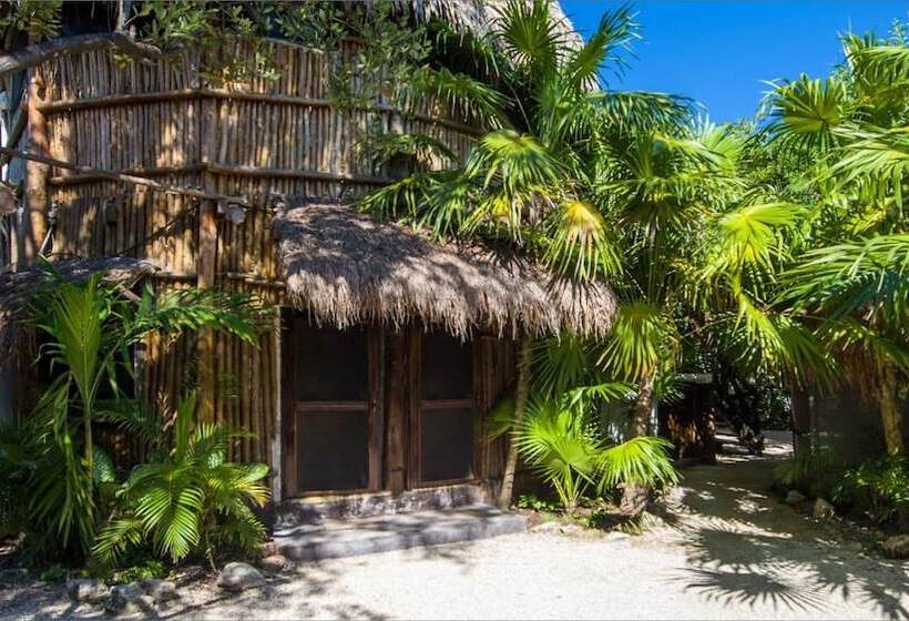Fotos del hotel Yoga Shala Tulum:  16
