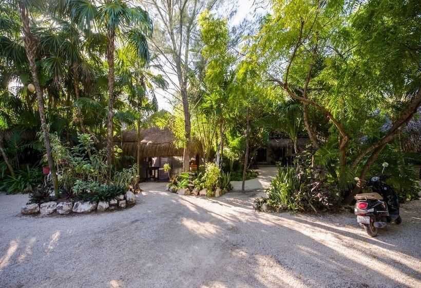 Fotos del hotel Yoga Shala Tulum:  21