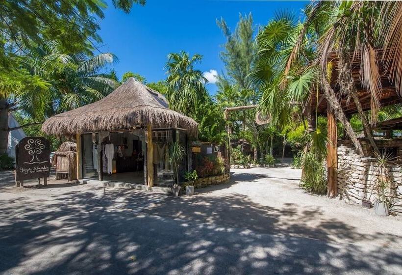 Fotos del hotel Yoga Shala Tulum:  20