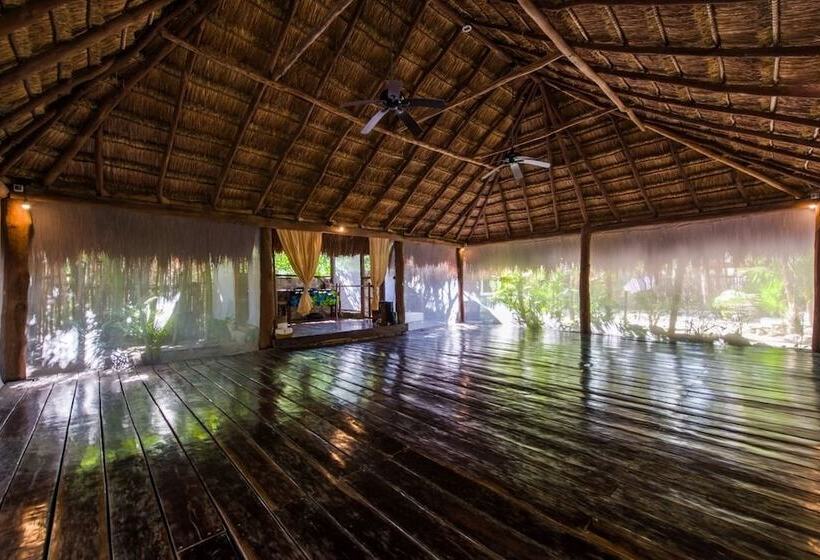 Fotos del hotel Yoga Shala Tulum:  23