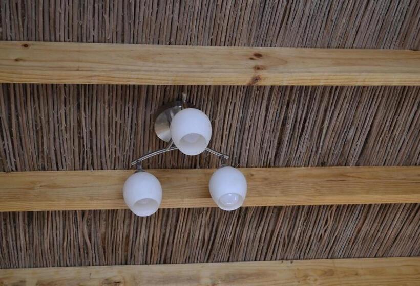 تختخواب و صبحانه Hostal Y Cabañas Renta House San Pedro