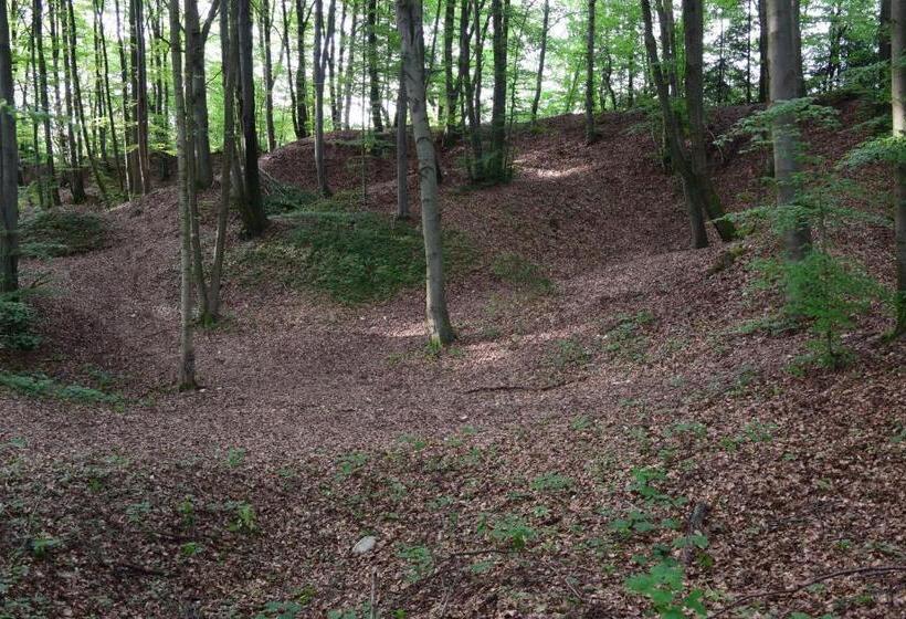 בית מלון כפרי Almrefugio