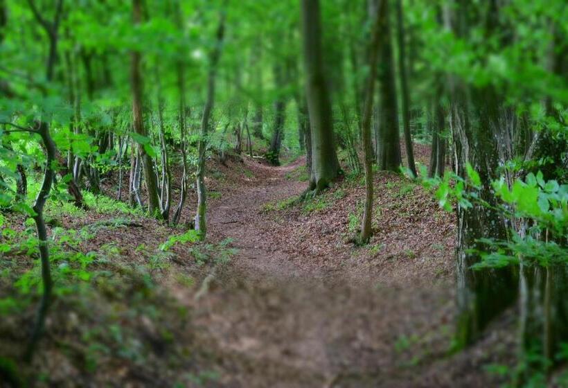 בית מלון כפרי Almrefugio