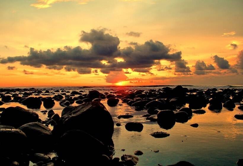 هتل The Point Surfcamp Bali