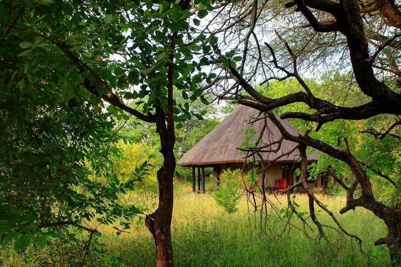 酒店 Motswari Private Game Reserve By Newmark