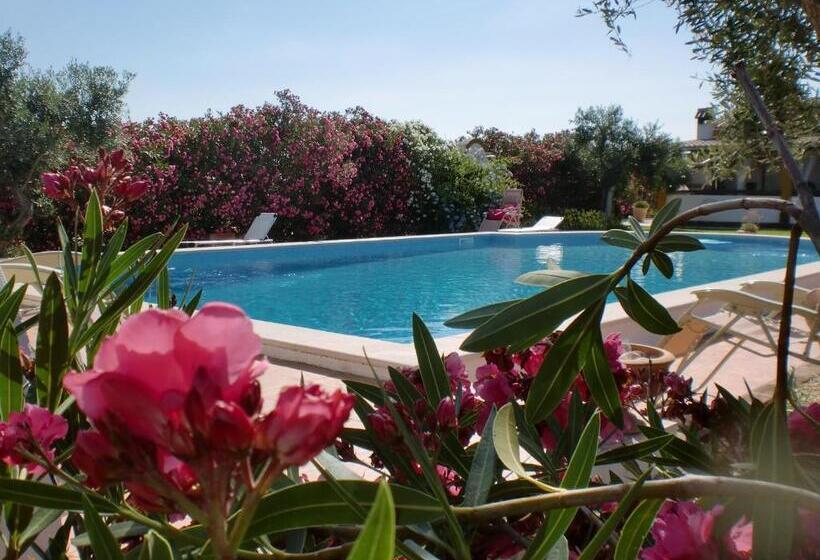 هتل روستایی Monte Chalaça   Turismo Rural