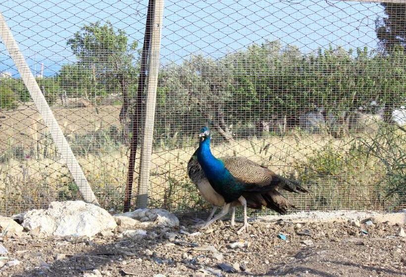 Agriturismo La Casa Di Bacco