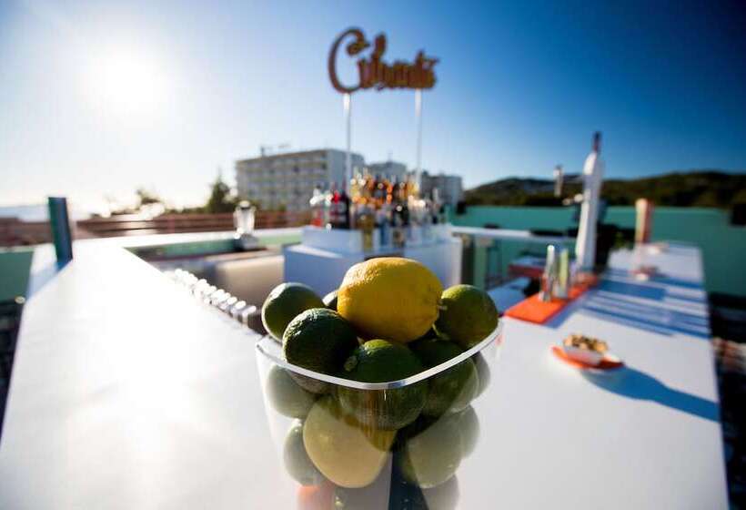 Fotos del hotel Cubanito Ibiza:  28