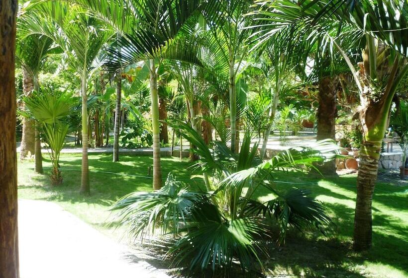 هتل La Barquita Beach Hostel