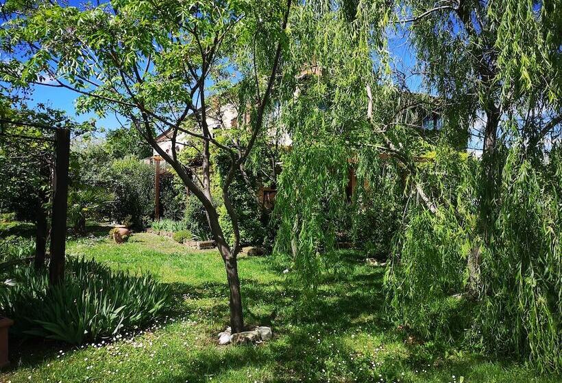 فندق La Casa Sul Colle