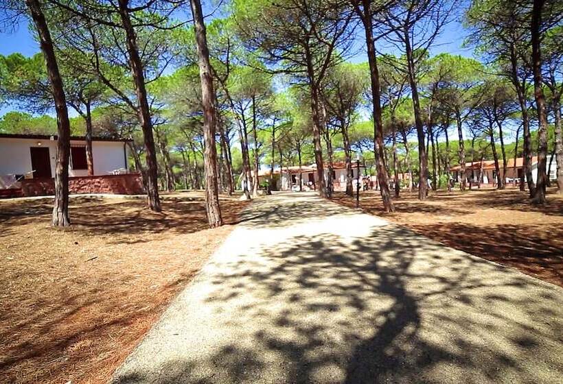 فندق Villaggio Dei Pini